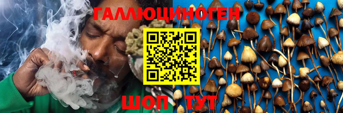 Псилоцибиновые грибы мухоморы Жуковский