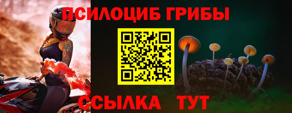 Галлюциногенные грибы мицелий  Вход с VPN  Жуковский 